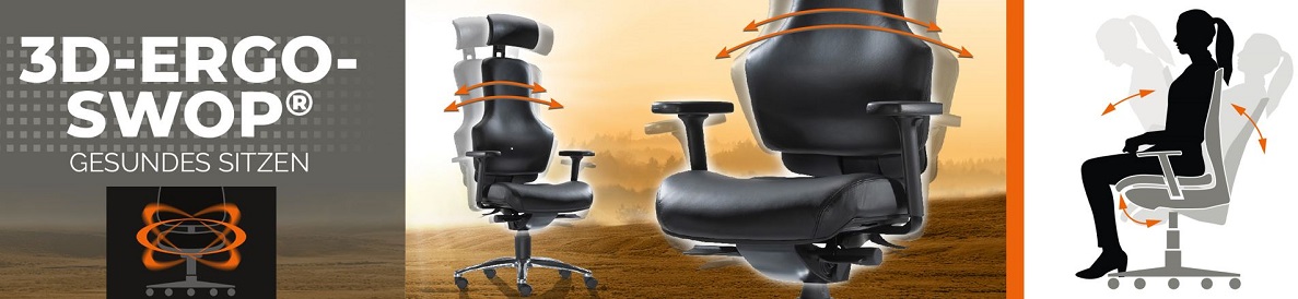 Bürostuhl-Bautzen  ➜ 3D-ErgoSWOP ➜ Bewegtes Sitzen